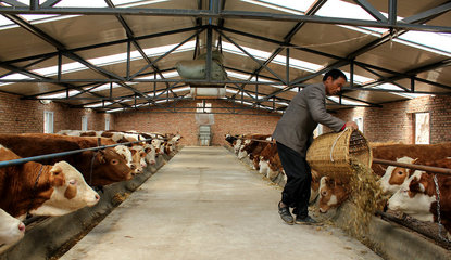 【走進(jìn)“三農(nóng)”】張家川五大產(chǎn)業(yè)齊并進(jìn)（三）畜牧設(shè)備技術(shù)開發(fā) 賦能傳統(tǒng)養(yǎng)殖，驅(qū)動(dòng)產(chǎn)業(yè)升級(jí)